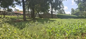 Kikuyu Lusigetti 50x100 Residential Plot