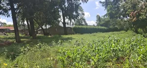 Kikuyu Lusigetti 50x100 Residential Plot