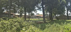 Kikuyu Lusigetti 50x100 Residential Plot