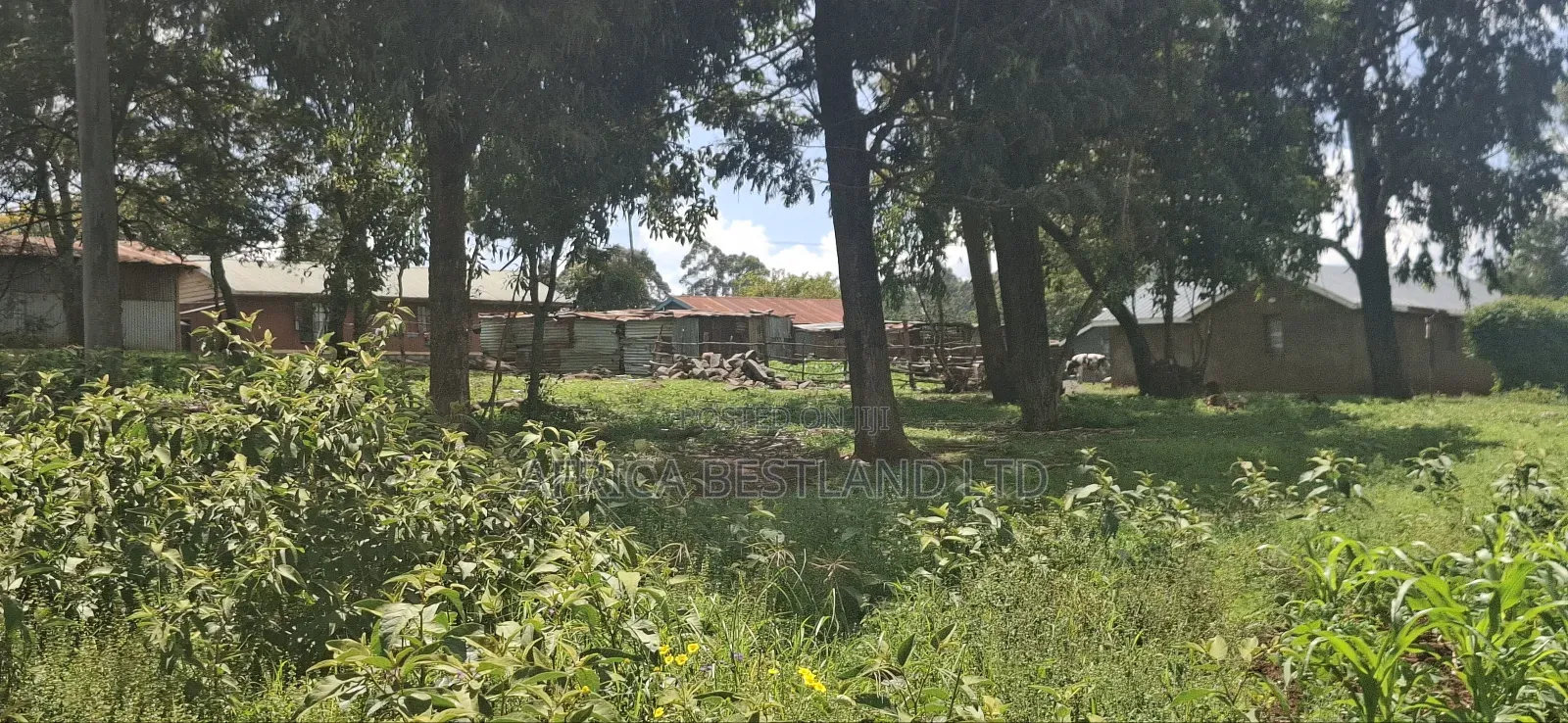 Kikuyu Lusigetti 50x100 Residential Plot