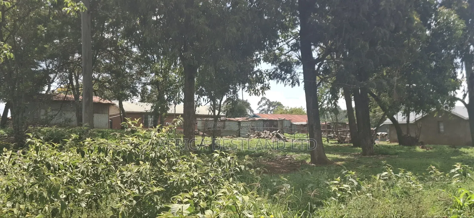 Kikuyu Lusigetti 50x100 Residential Plot