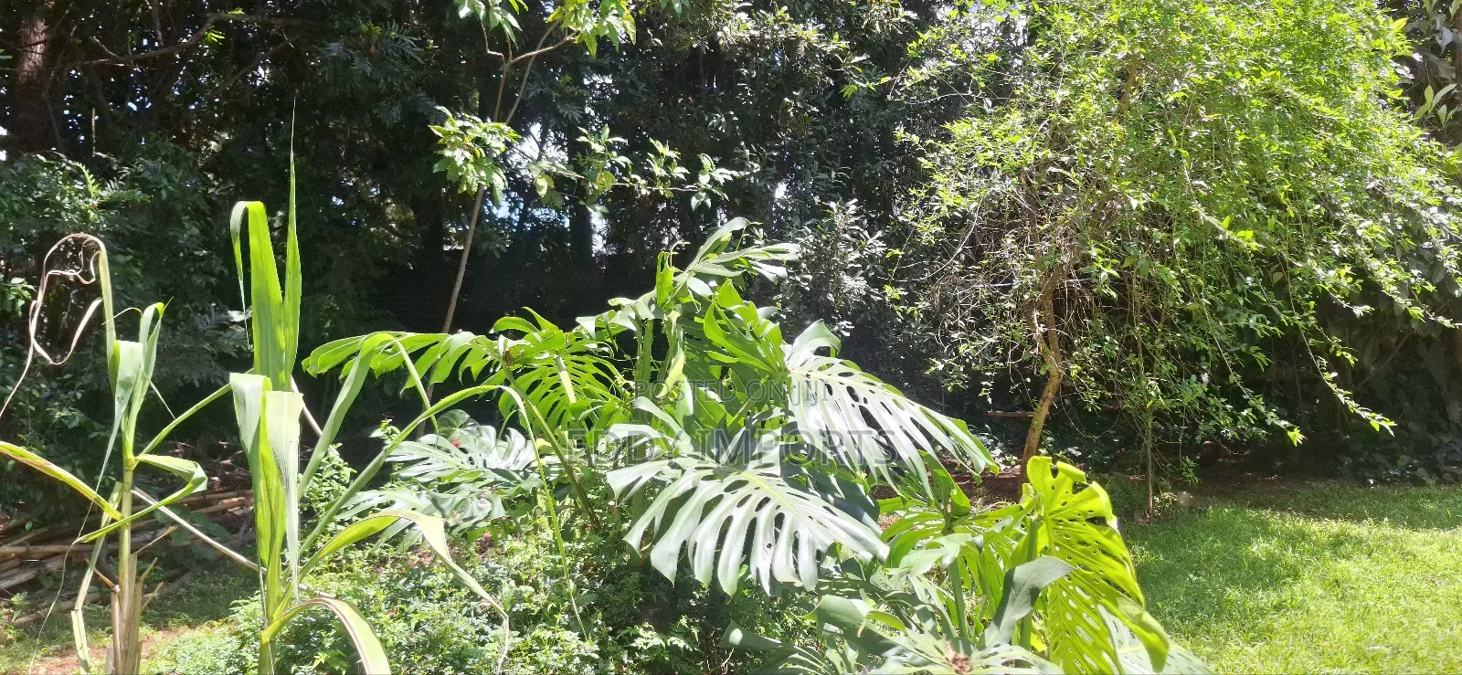 Plot for Sale in Kilimani