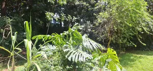 Plot for Sale in Kilimani