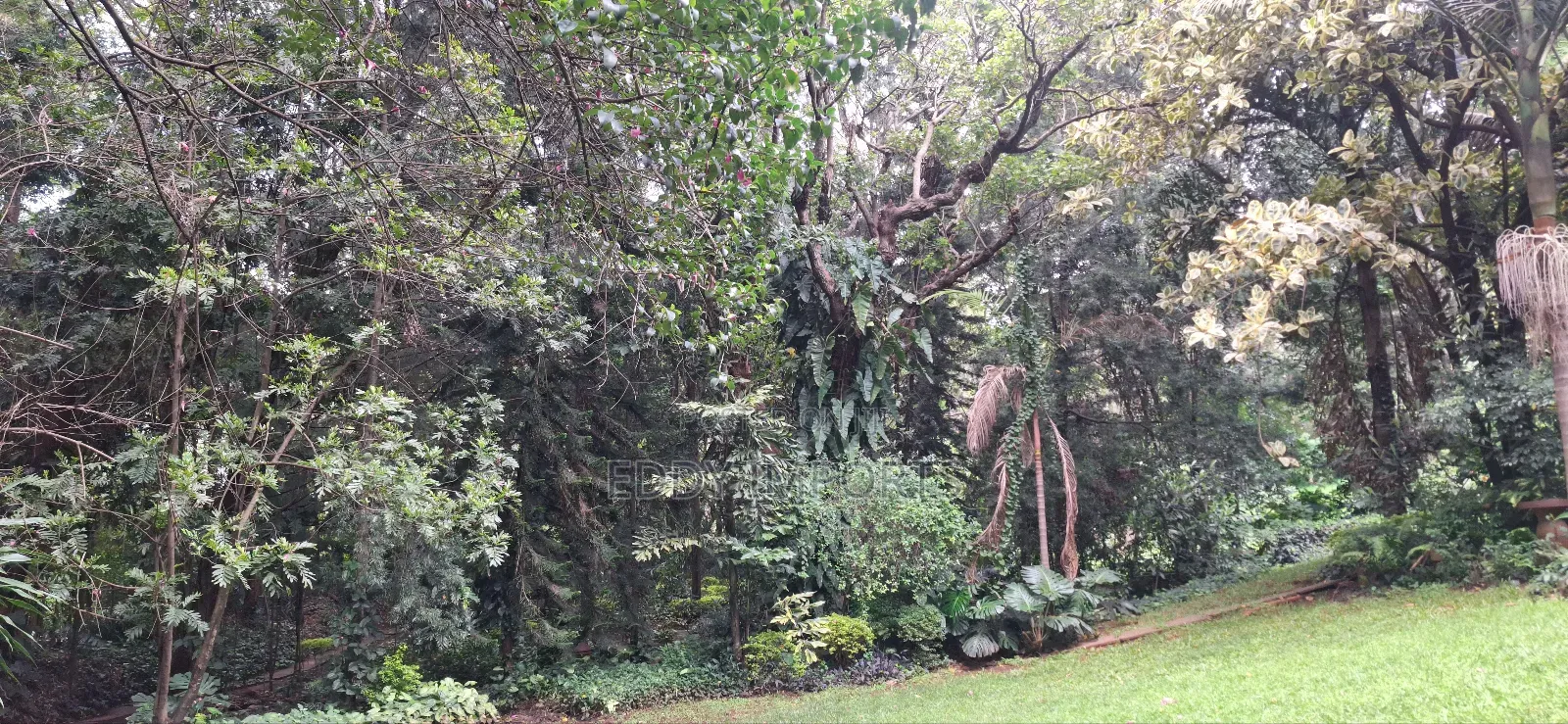 Plot for Sale in Kilimani