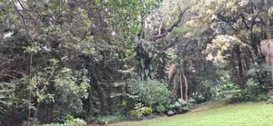 Plot for Sale in Kilimani
