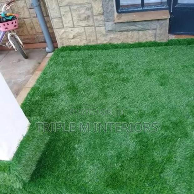 Designer Artificial Grass to Elevate Your Compound 50mm Thickness