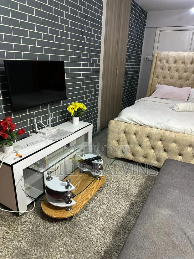 Furnished Studio Apartment in Tsavo Studio, Fedha for rent