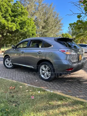 Lexus RX 2013 Gray