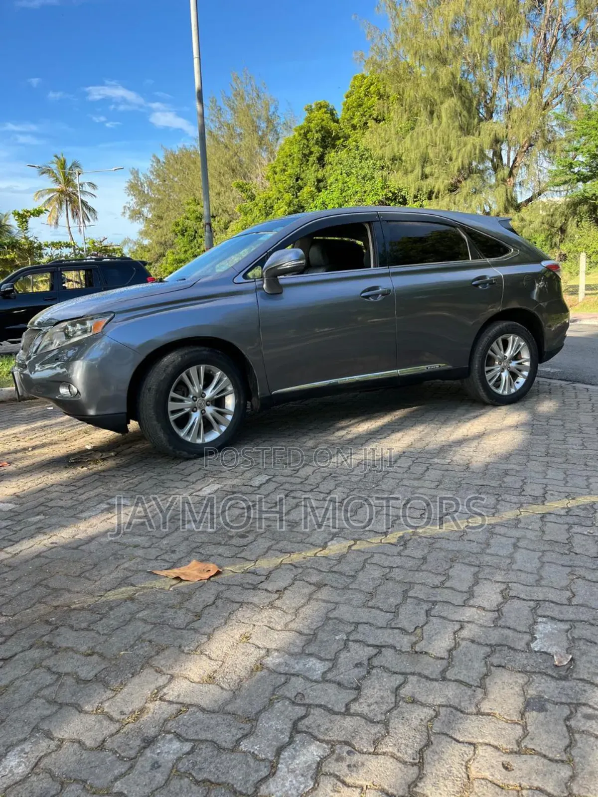 Lexus RX 2013 Gray