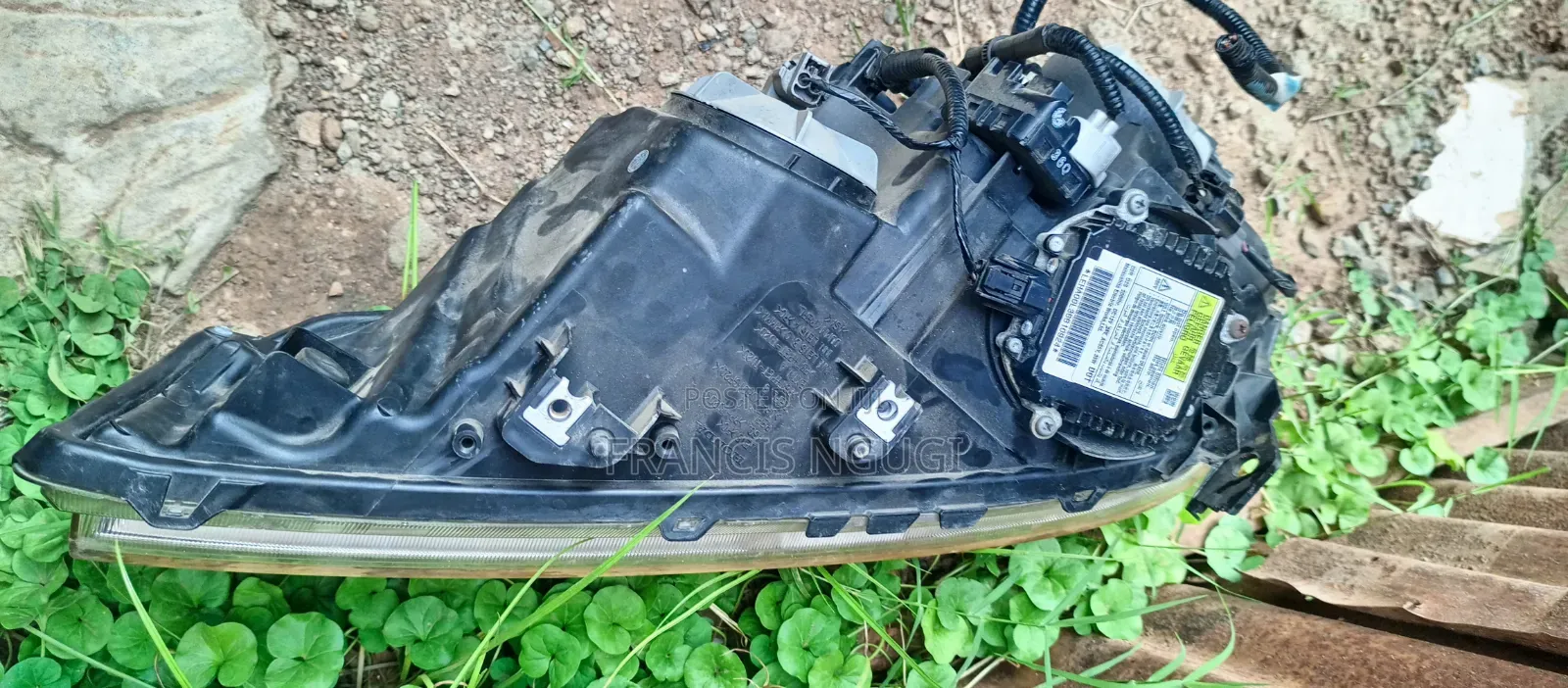 Honda Stepwagon Headlight