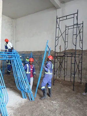 Modular Scaffolding Ladder