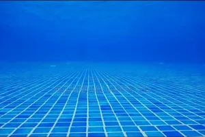 Blue Tiled Swimming Pool Construction – Professional Pool Contractor