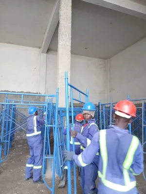 Scaffold Extension Ladder