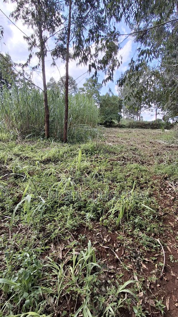 Quarter Acre for Sale at Kiambaa Waguthu