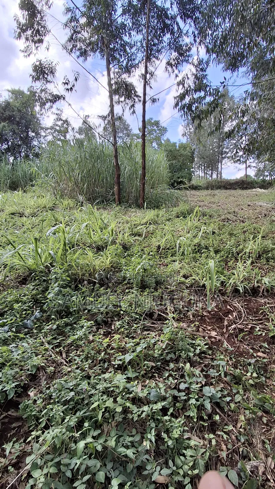 Quarter Acre for Sale at Kiambaa Waguthu