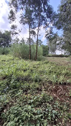 Quarter Acre for Sale at Kiambaa Waguthu