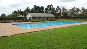 25m X 10m Professional Swimming Pool Construction Contractor