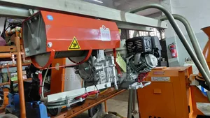 Iori Honda 1000kg/1 Tonne Concrete Hoist Machine With Honda