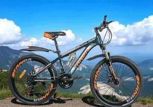 Tanda Size 29 Mountain Bike 
24 Gear Speed With Lockable Suspension
