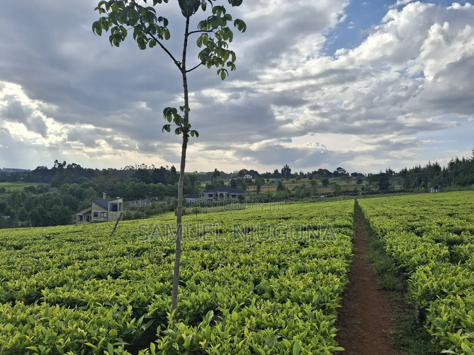 Half Acre for Sale at Riara Ridge Next to Ridge Cabin Resort