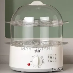 Steam Cooker Now
