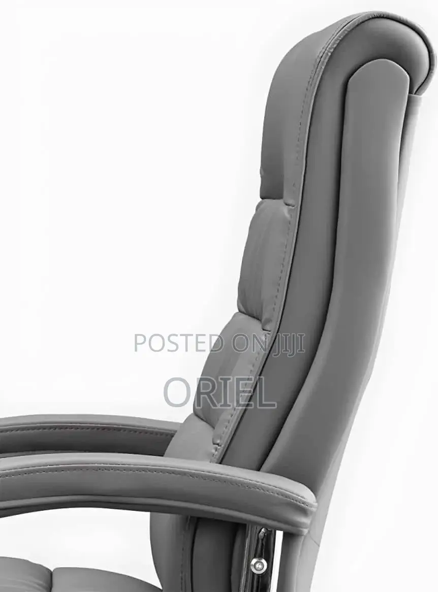 Office Chair : Professional Executive Ergonomic Office Chair