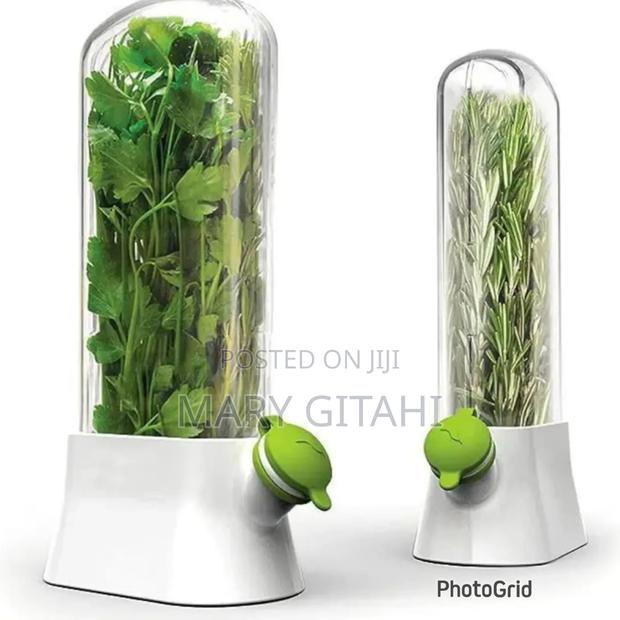 Garlic/Herbs Preserving Container - main view