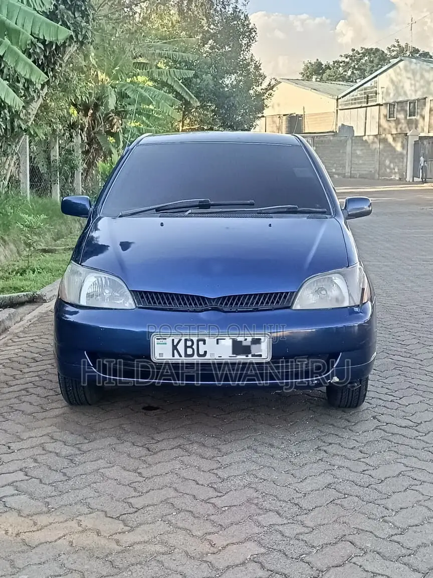 Toyota Platz 2001 Blue