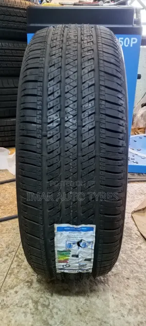 225/55r19 Bridgestone Ecopia