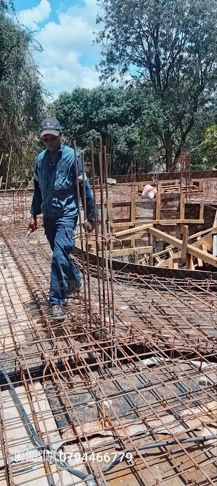 Sylvester Electrician
