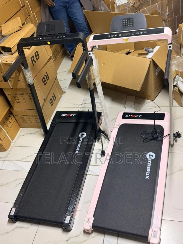 Euromax Foldable Walking Pad Treadmill With Incline and Hand Rails