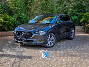 Mazda CX-30 2019 Gray