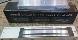 Single Door Magnetic Lock (Maglock)