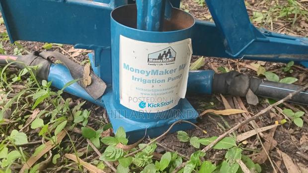 Moneymaker Pump in Perfect Condition - thumbnail 3
