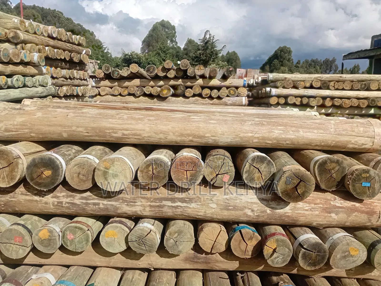 Timber Poles Kenya