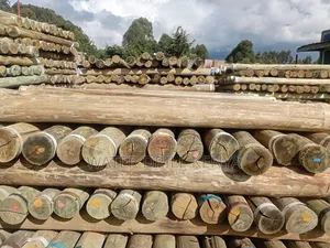 Timber Poles Kenya