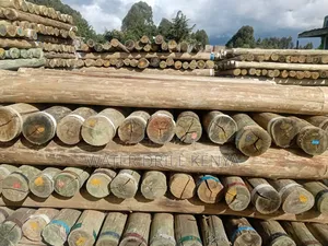 Timber Poles Kenya