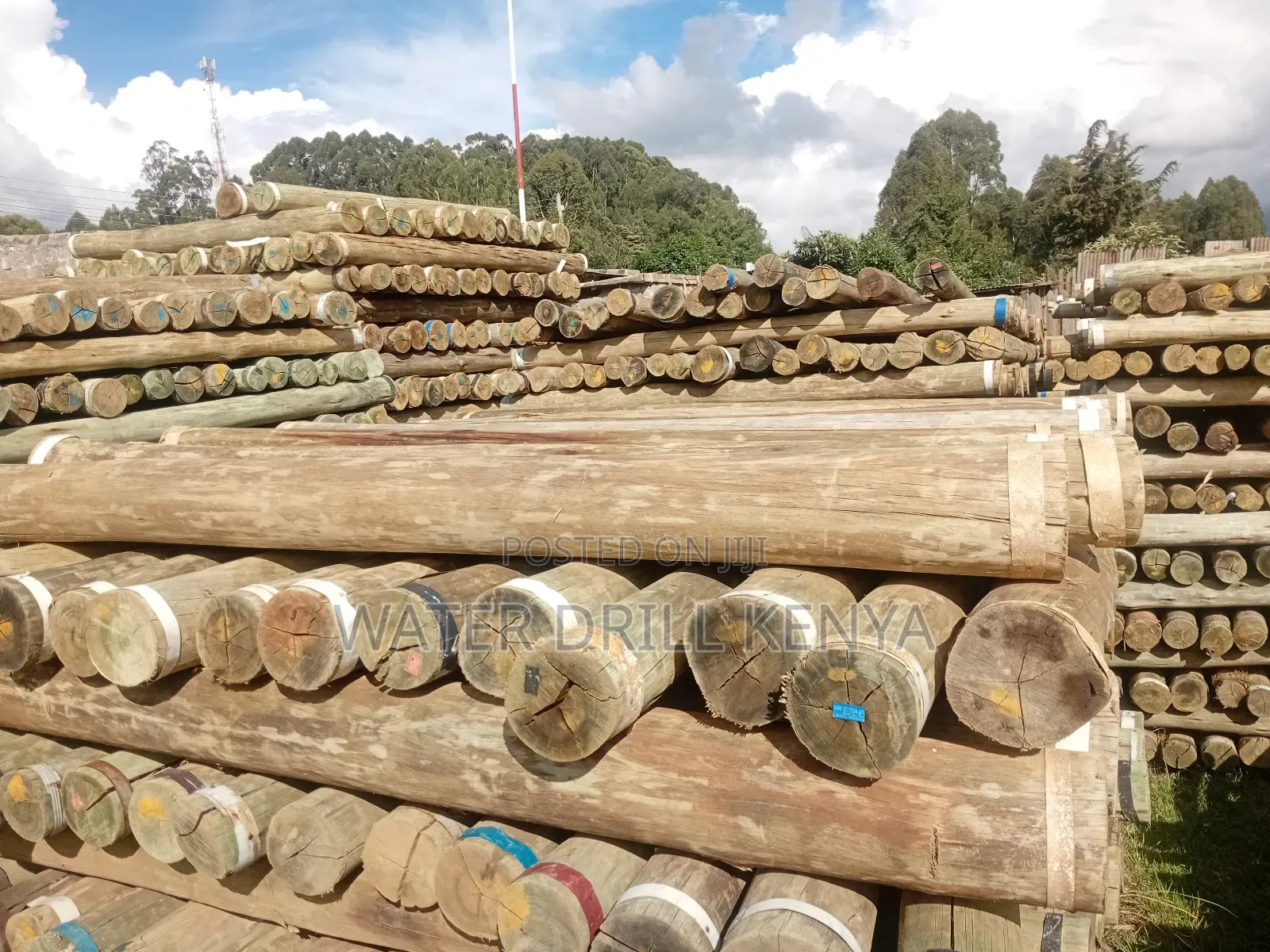 Timber Poles Kenya