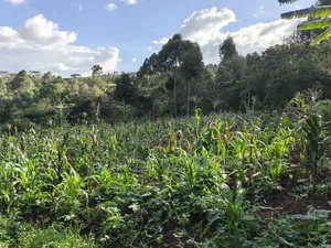 One Acre Piece of Land for Sale in Ngong, Kahara. Red Soil Farmland