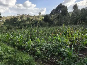 One Acre Piece of Land for Sale in Ngong, Kahara. Red Soil Farmland