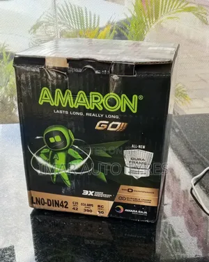 Amaron Din42