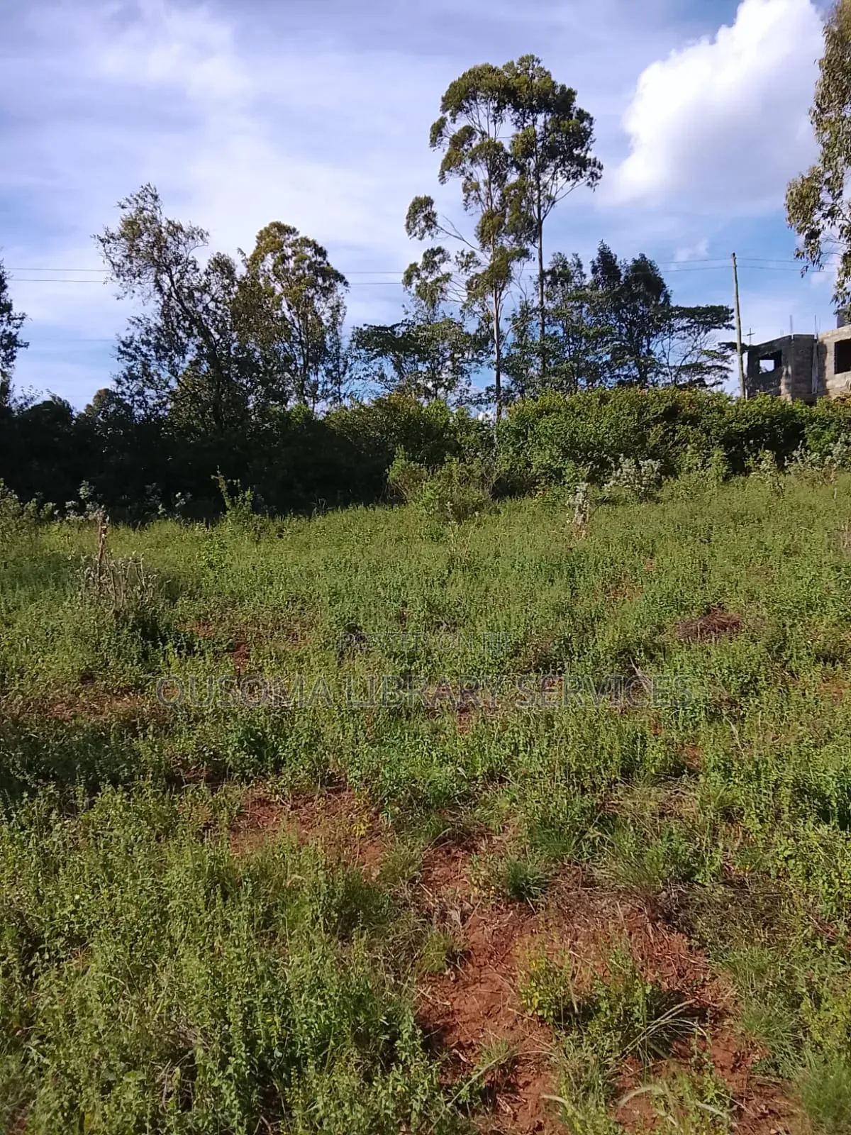 Your Dream Home Awaits – Prime 3/8 Acre Plot in Ngong Kibiko!