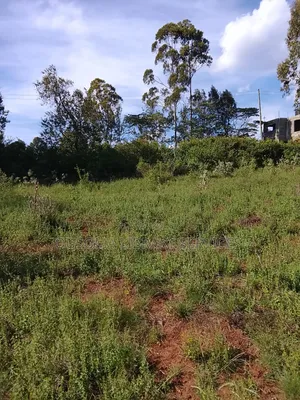 Your Dream Home Awaits – Prime 3/8 Acre Plot in Ngong Kibiko!