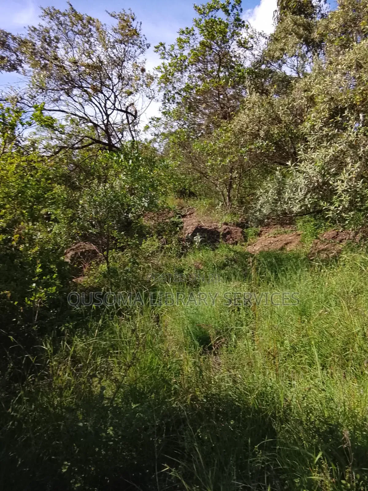 Your Dream Home Awaits – Prime 3/8 Acre Plot in Ngong Kibiko!