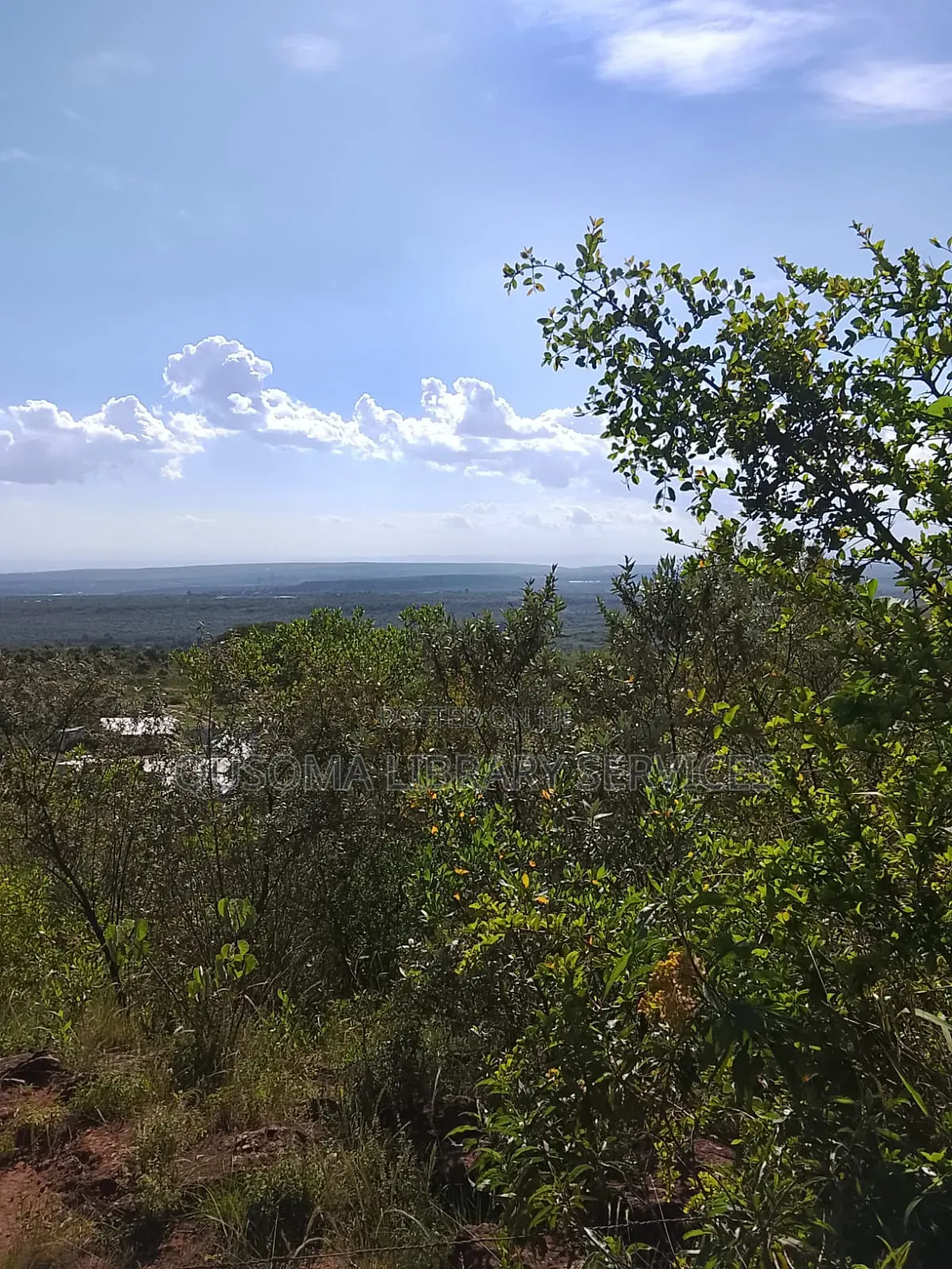 Your Dream Home Awaits – Prime 3/8 Acre Plot in Ngong Kibiko!