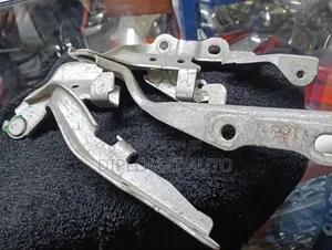 Mark X 2010 Hinges.