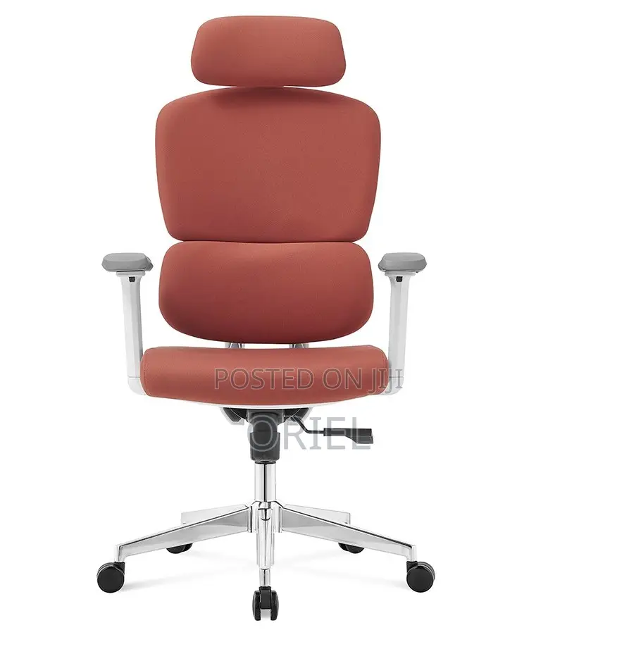Executive Office Chair : Orange Orthopedic High Back Office Seat