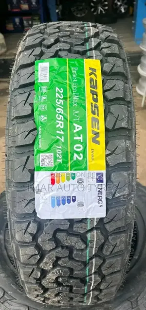 225/65r17 Kapsen At02