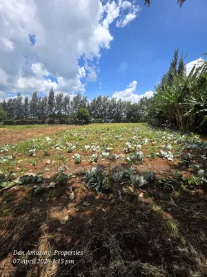 50 by 100 Plot in Ngong Kimuka for Sale I Deal for Residential