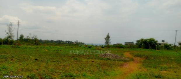 Prime 2 Acre Land in Dago - thumbnail 4